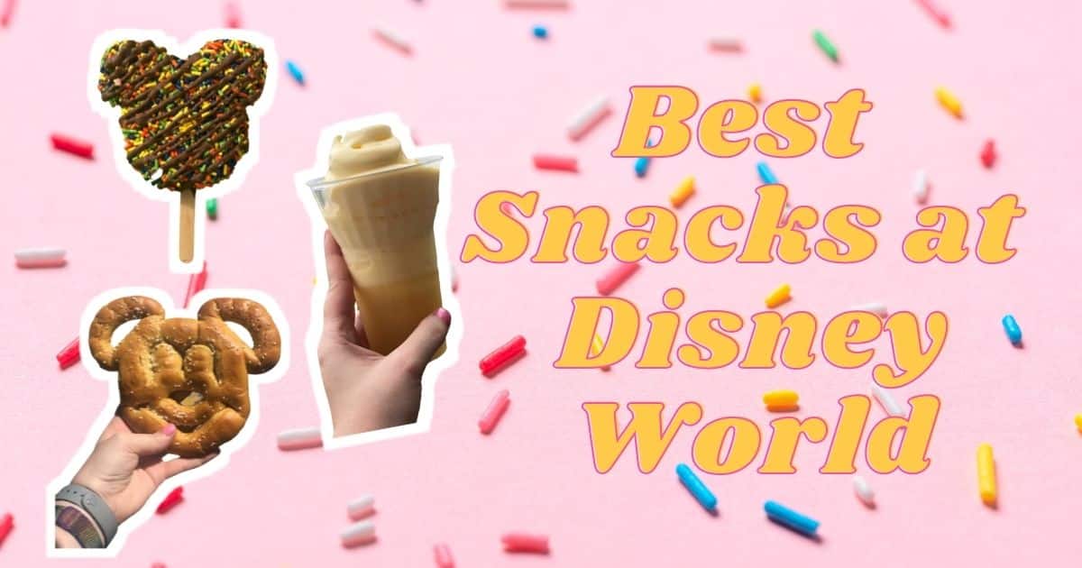 Best Snacks at Disney World 22 Options to Try (Updated 2023) • The