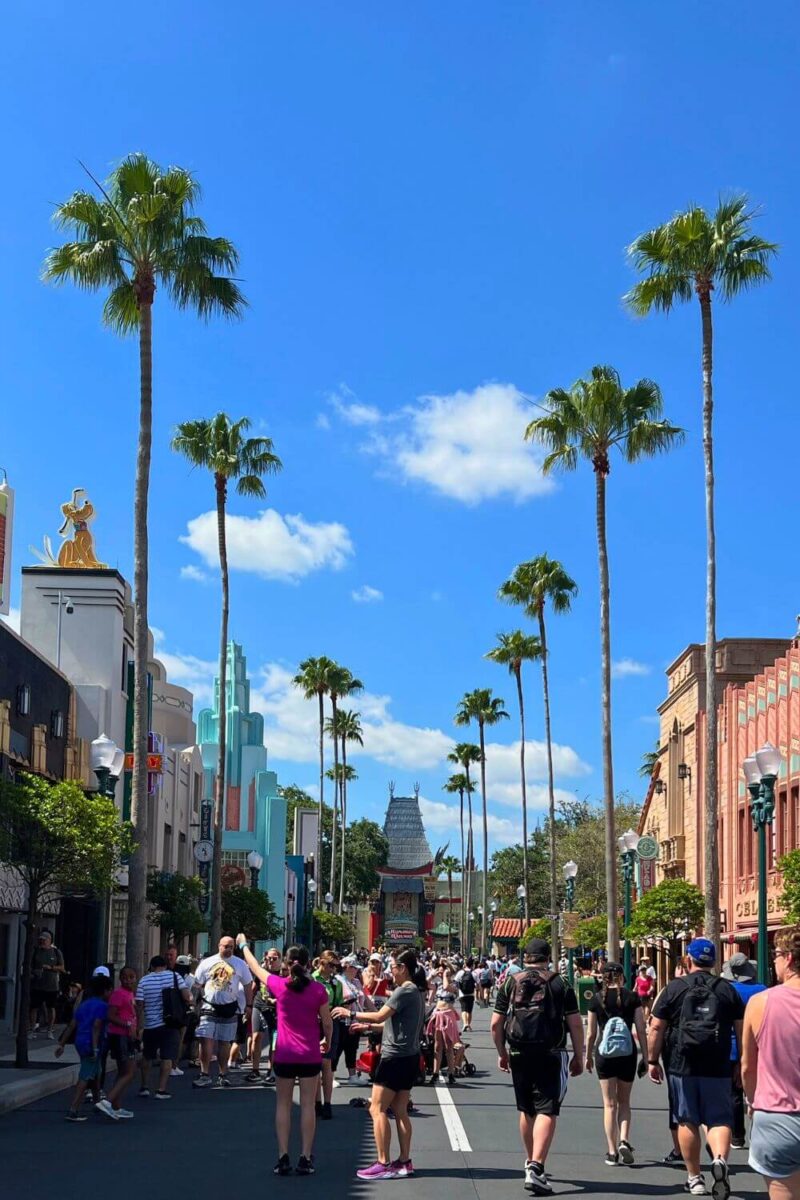 Best Hollywood Studios Rides & Shows Revealed (Updated 2023) • The Park ...