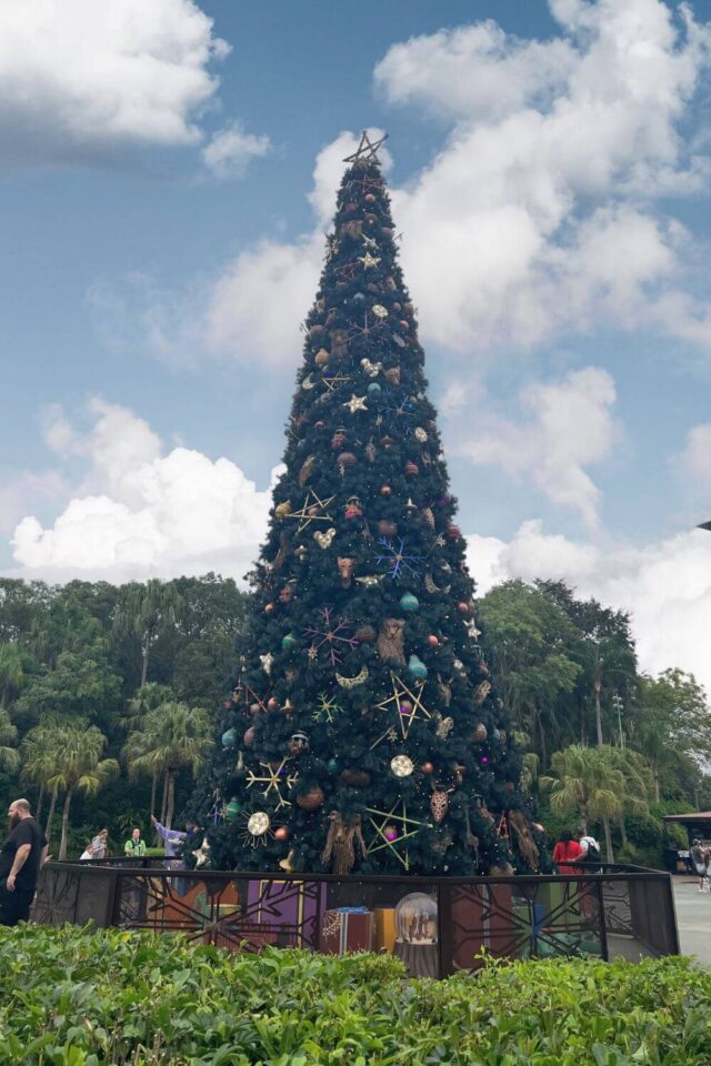 Disney's Animal Kingdom at Christmas Celebration Guide 2024 • The Park