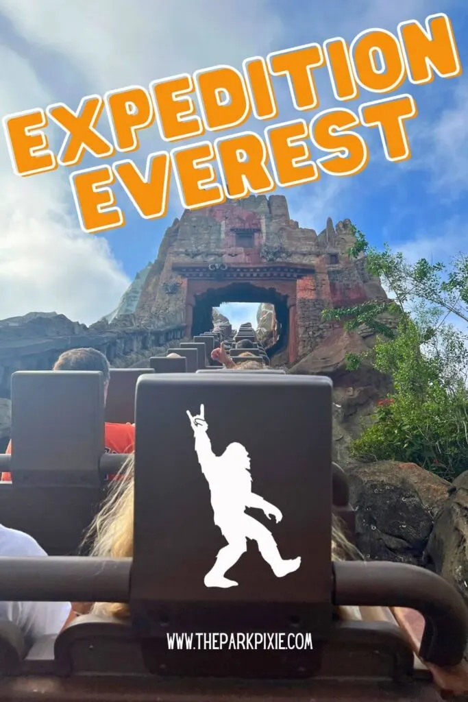 Photo looking up a steep hill on Expedition Everest at Animal Kingdom.
