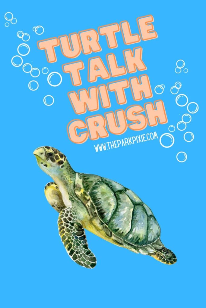Photo of a custom graphic with a sea turtle and bubbles. Above the turtle, text reads: Turtle Talk with Crush.