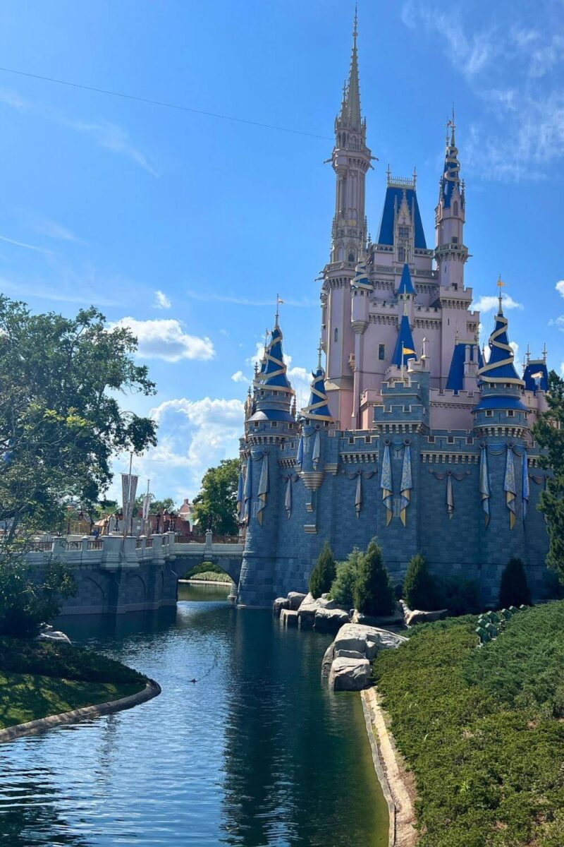 Magic Kingdom Genie Plus & Lightning Lane Guide For 2024 • The Park Pixie