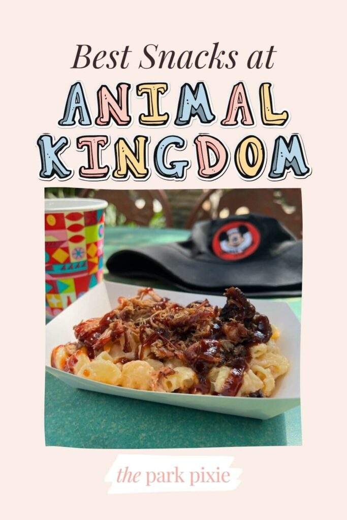 Photo of baked macaroni and cheese with barbecue pulled pork on top. Text above the photo reads: Best Snacks at Animal Kingdom.