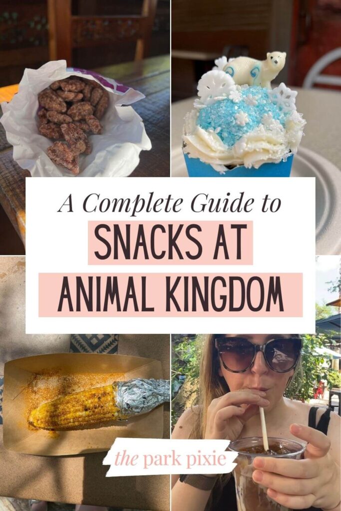 Custom graphic with 4 photos of sweet and savory snacks from Disney's Animal Kingdom. Text in the middle reads: A Complete Guide to Snacks at Animal Kingdom.