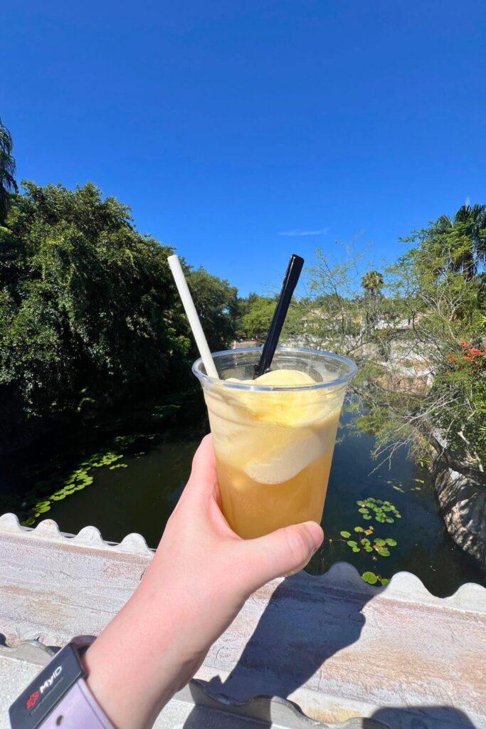 Photo of a cup of pineapple hard cider with pineapple dole whip soft serve in it.