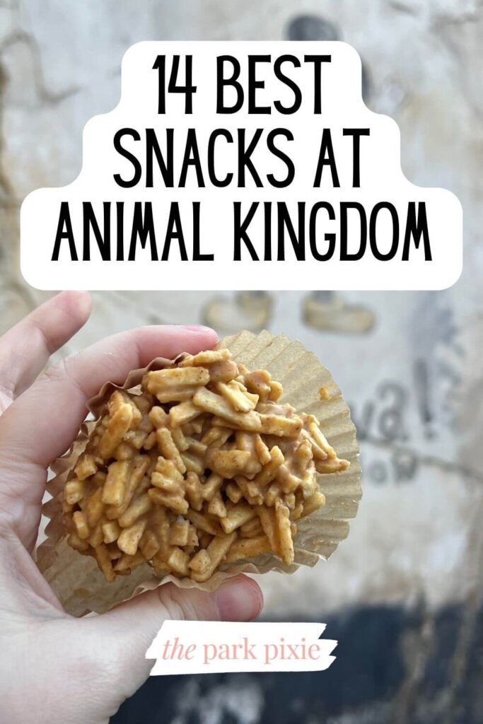 Photo of peanut butter haystacks from Zuri's Sweets Shop at Disney's Animal Kingdom. Text overlay reads: 14 Best Snacks at Animal Kingdom.