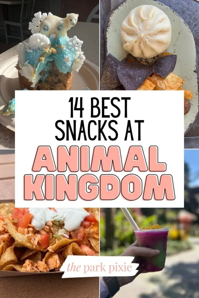 Custom graphic with 4 photos of snacks at Animal Kingdom. Text in the middle reads: 14 Best Snacks at Animal Kingdom